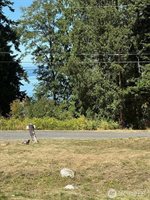 4904 Roney Road, Bow, WA 98232