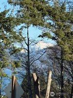 4904 Roney Road, Bow, WA 98232