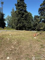 4904 Roney Road, Bow, WA 98232