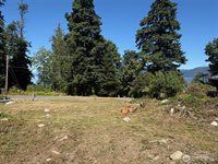 4904 Roney Road, Bow, WA 98232