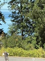 4904 Roney Road, Bow, WA 98232