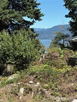 4904 Roney Road, Bow, WA 98232