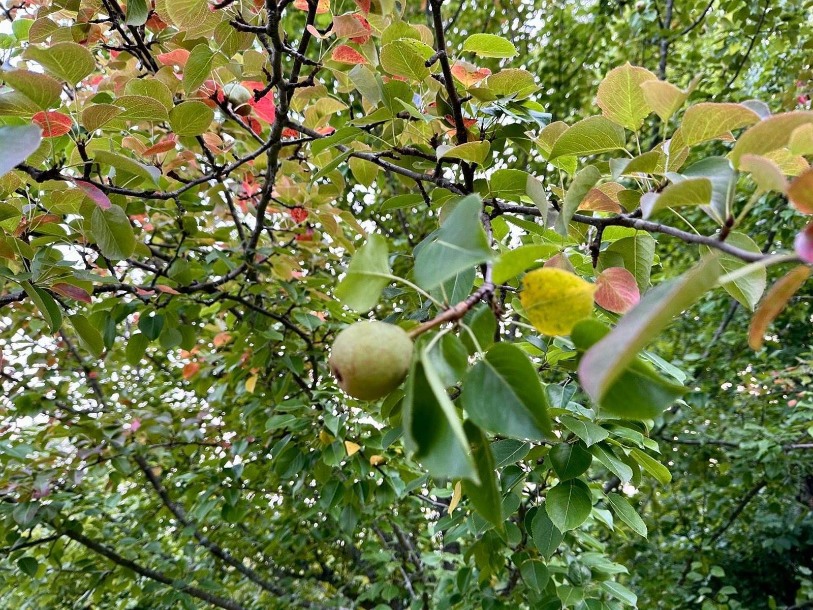 48539 Fyhr Lane, Hinckley, MN 55037