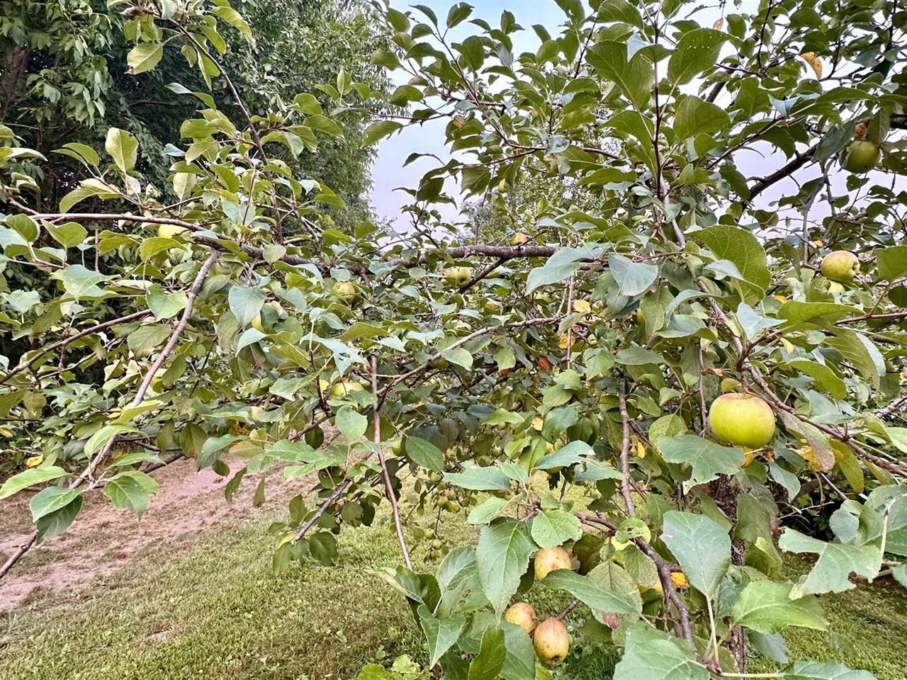 48539 Fyhr Lane, Hinckley, MN 55037