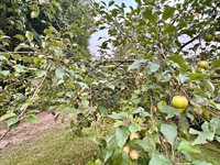 48539 Fyhr Lane, Hinckley, MN 55037