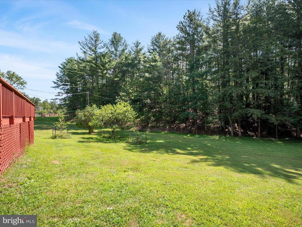 4081 Wolf Gap Road, Edinburg, VA 22824