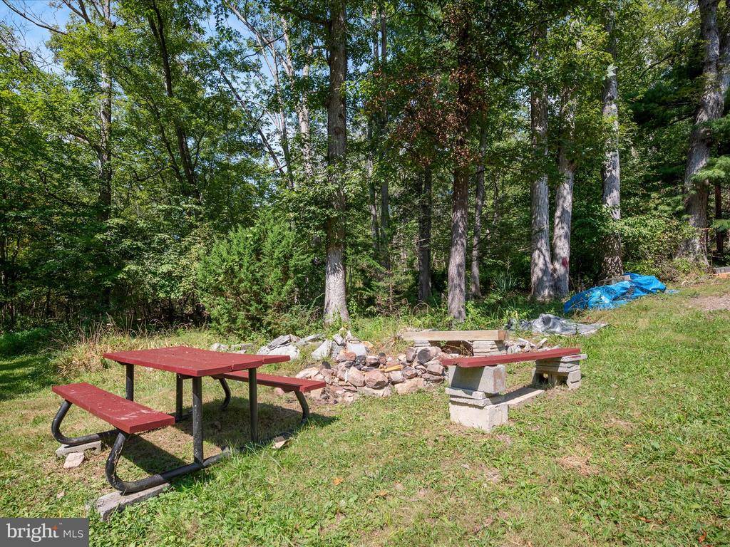 4081 Wolf Gap Road, Edinburg, VA 22824