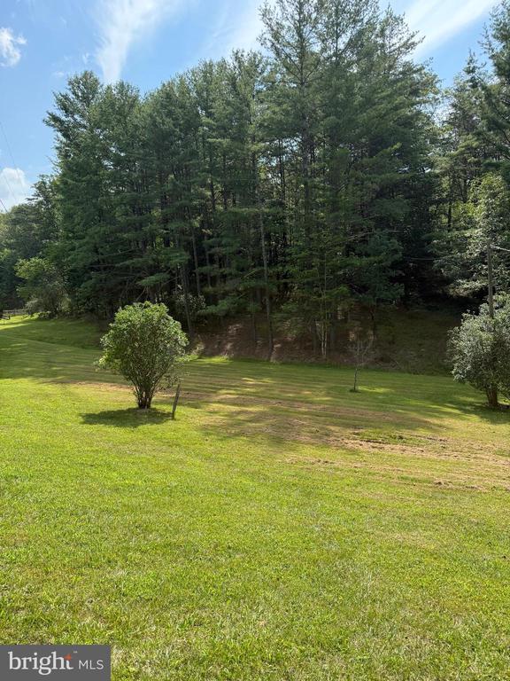 4081 Wolf Gap Road, Edinburg, VA 22824