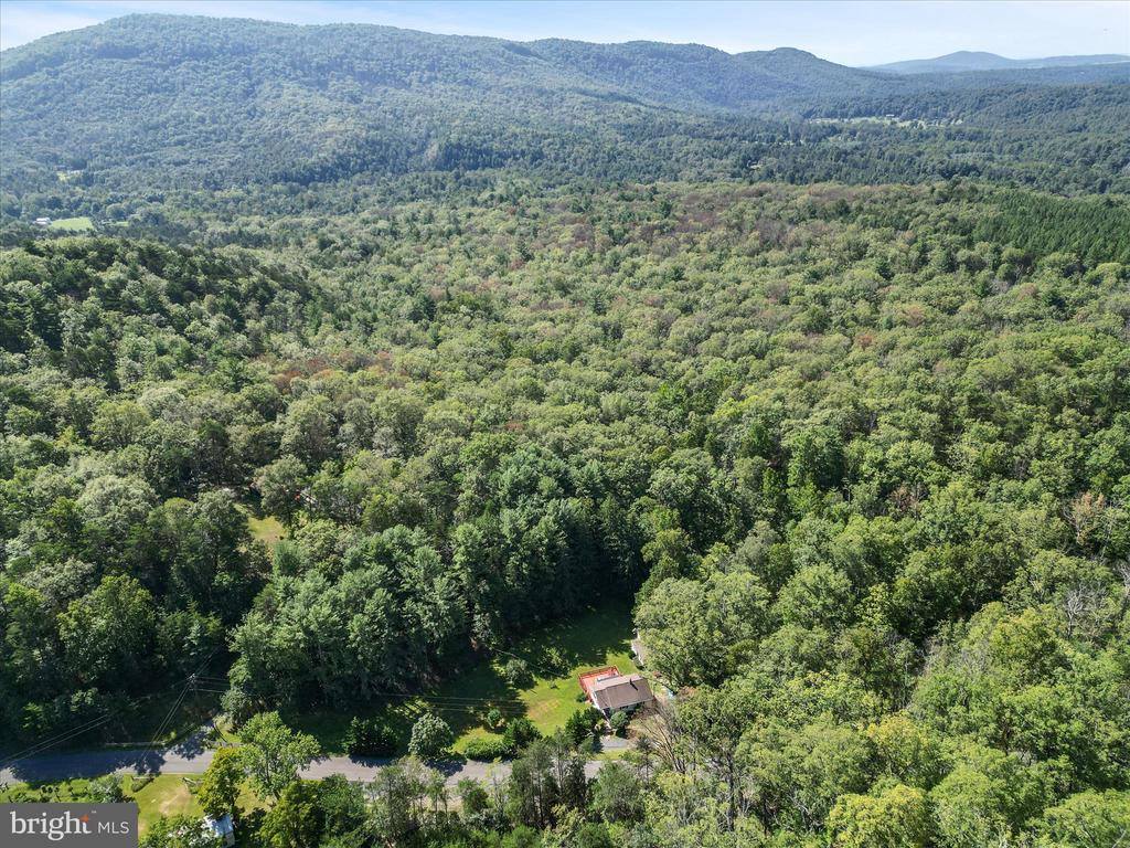 4081 Wolf Gap Road, Edinburg, VA 22824