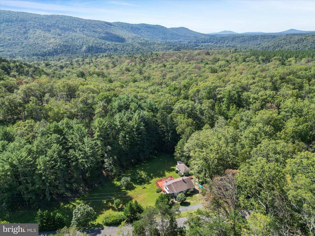 4081 Wolf Gap Road, Edinburg, VA 22824