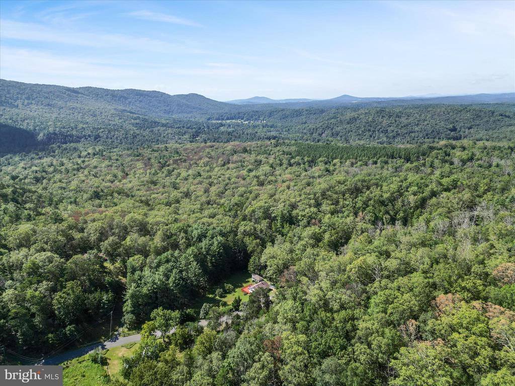 4081 Wolf Gap Road, Edinburg, VA 22824