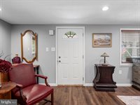 4081 Wolf Gap Road, Edinburg, VA 22824