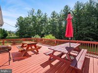 4081 Wolf Gap Road, Edinburg, VA 22824