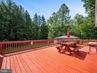 4081 Wolf Gap Road, Edinburg, VA 22824