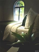 102 Opal Street, Saint Robert, MO 65584