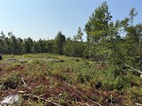 TBD Oak Mt Lot 5 Road, Springfield, ME 04487