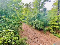 0000 Texas, Waynesville, MO 65583