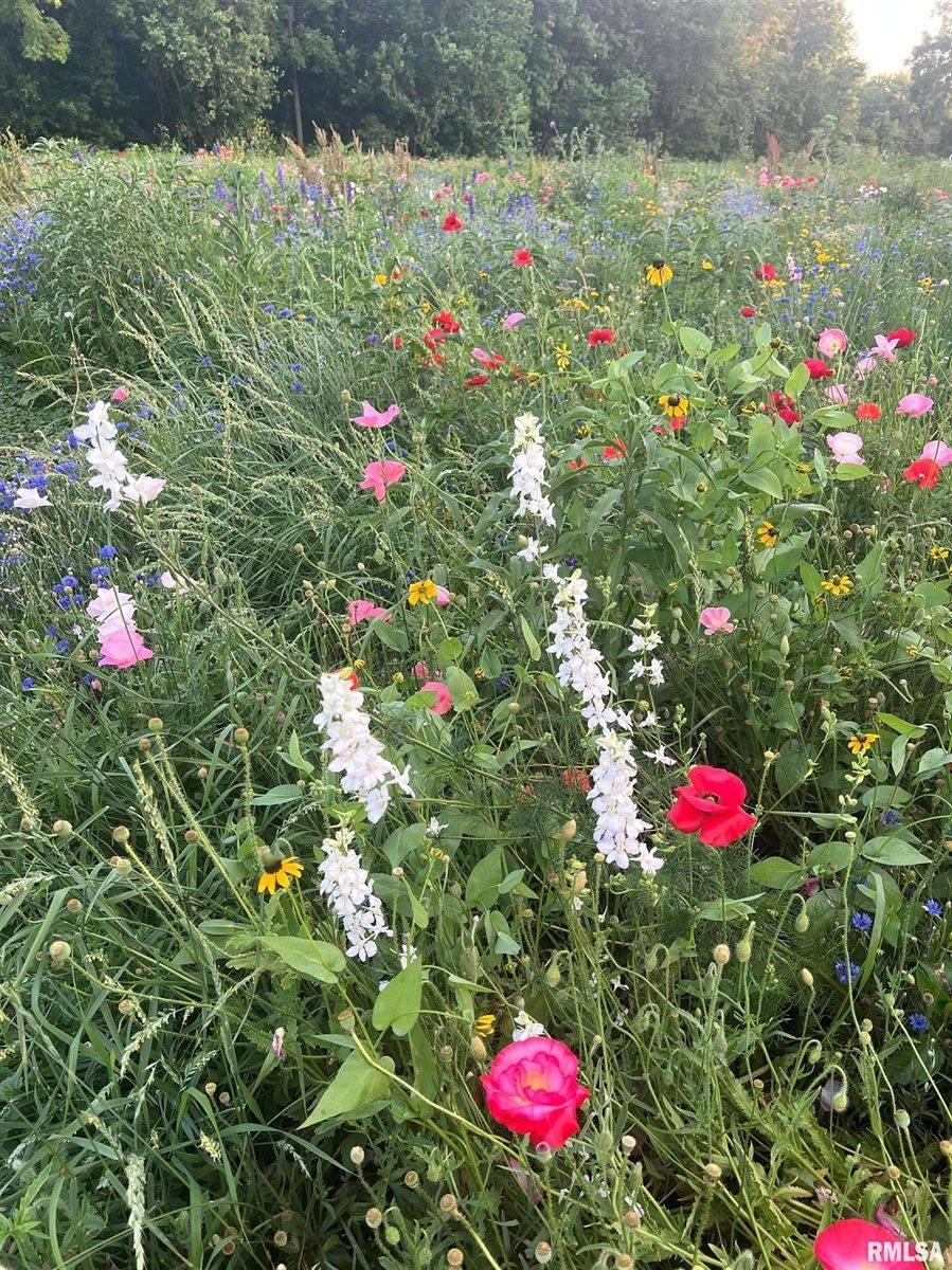 114 Broadway Street, Charlotte, IA 52731