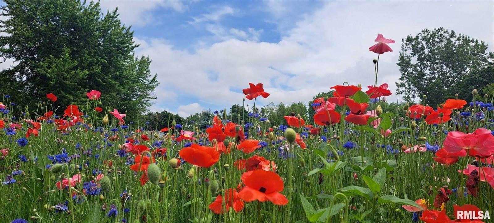 114 Broadway Street, Charlotte, IA 52731