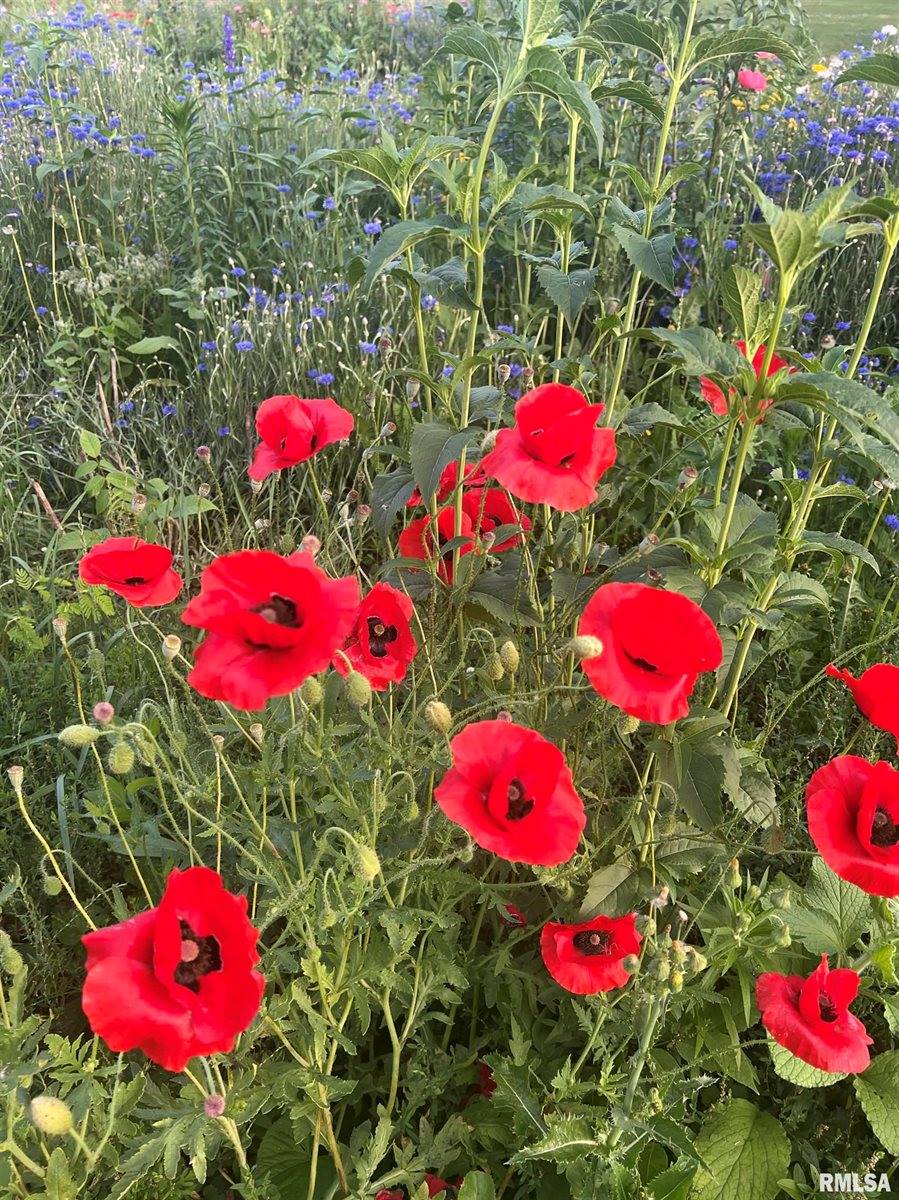 114 Broadway Street, Charlotte, IA 52731