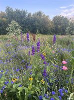 114 Broadway Street, Charlotte, IA 52731