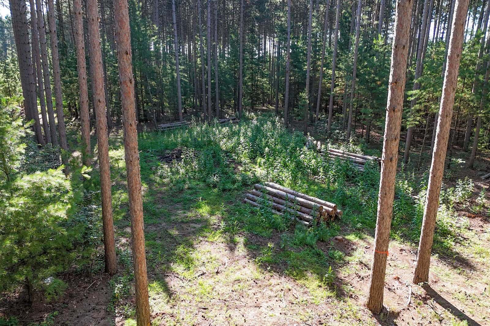 2 Acres WHITROCK AVENUE, Wisconsin Rapids, WI 54494