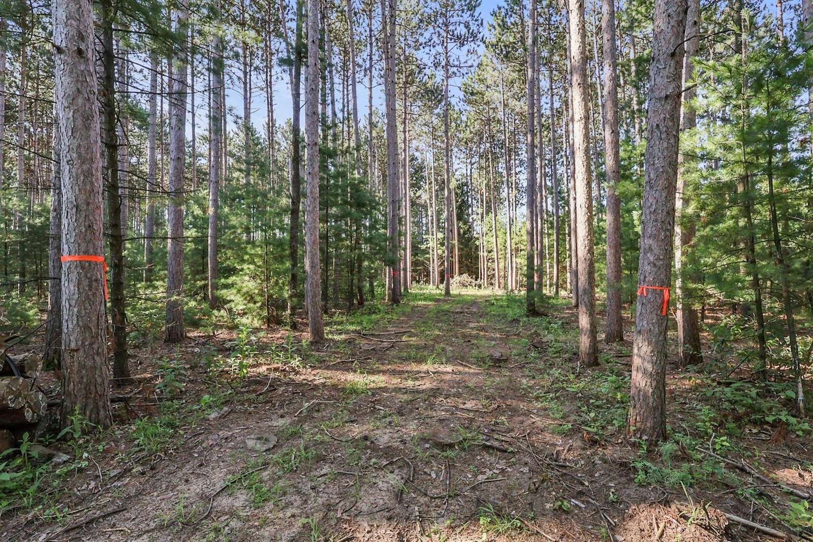 2 Acres WHITROCK AVENUE, Wisconsin Rapids, WI 54494