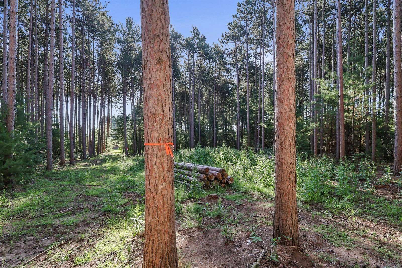 2 Acres WHITROCK AVENUE, Wisconsin Rapids, WI 54494