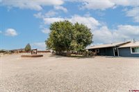 11530 Lakeview Drive, Montrose, CO 81403