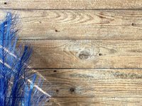 2917 McGill Blvd, San Angelo, TX 76905