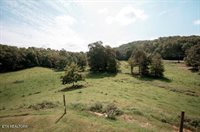 630 Peach Orchard Rd, Andersonville, TN 37705