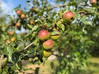 58 Fourth Street, Old Town, ME 04468