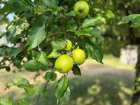 58 Fourth Street, Old Town, ME 04468