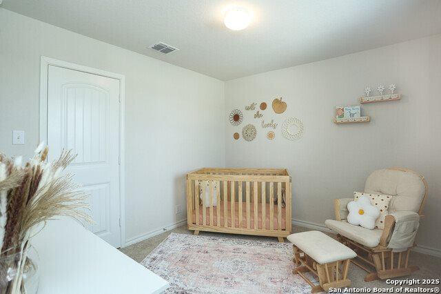 720 Red Crossbill, San Antonio, TX 78253