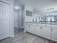 869 Drakeswood Avenue, The Villages, FL 32162