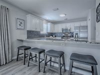 869 Drakeswood Avenue, The Villages, FL 32162