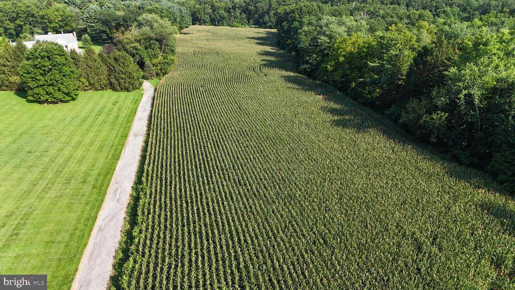 Markoe Road, Monkton, MD 21111