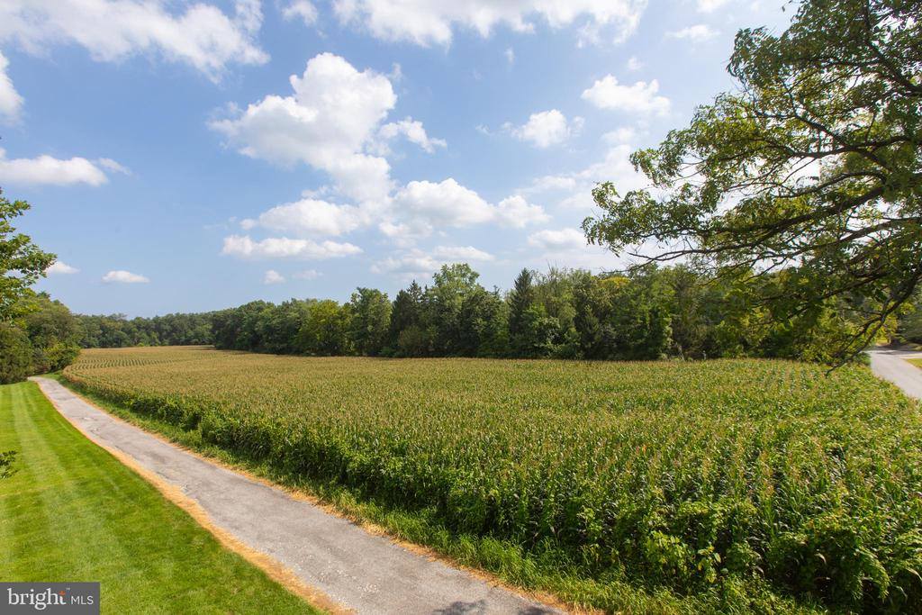 Markoe Road, Monkton, MD 21111