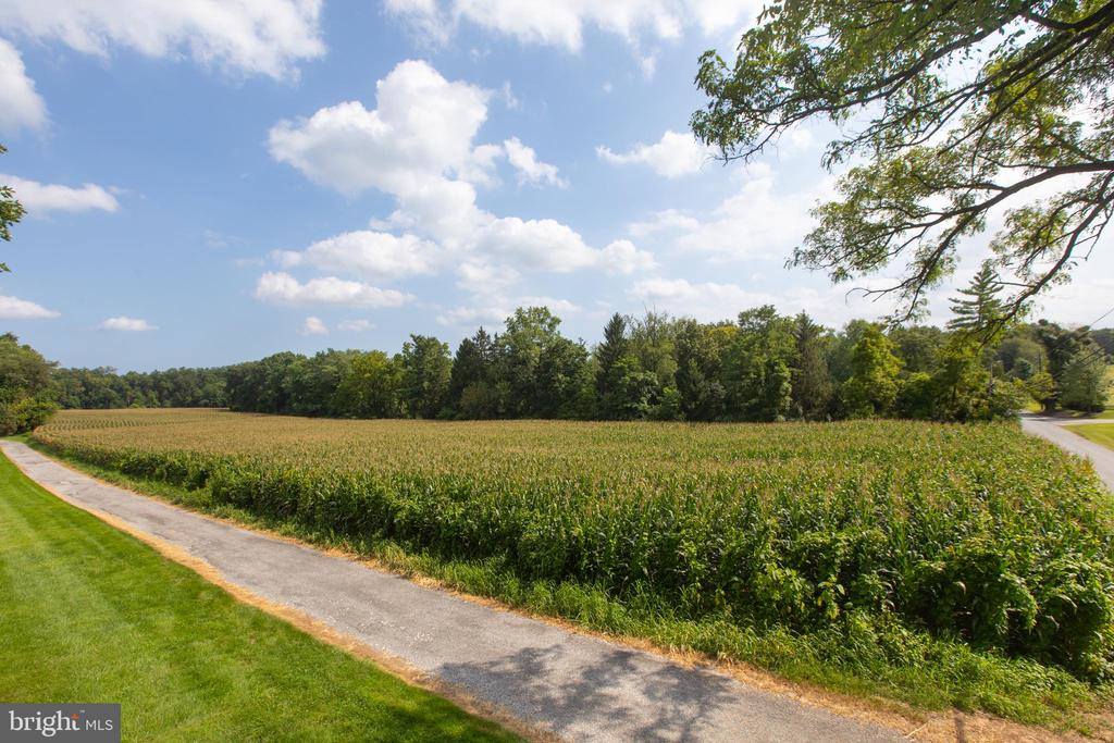 Markoe Road, Monkton, MD 21111