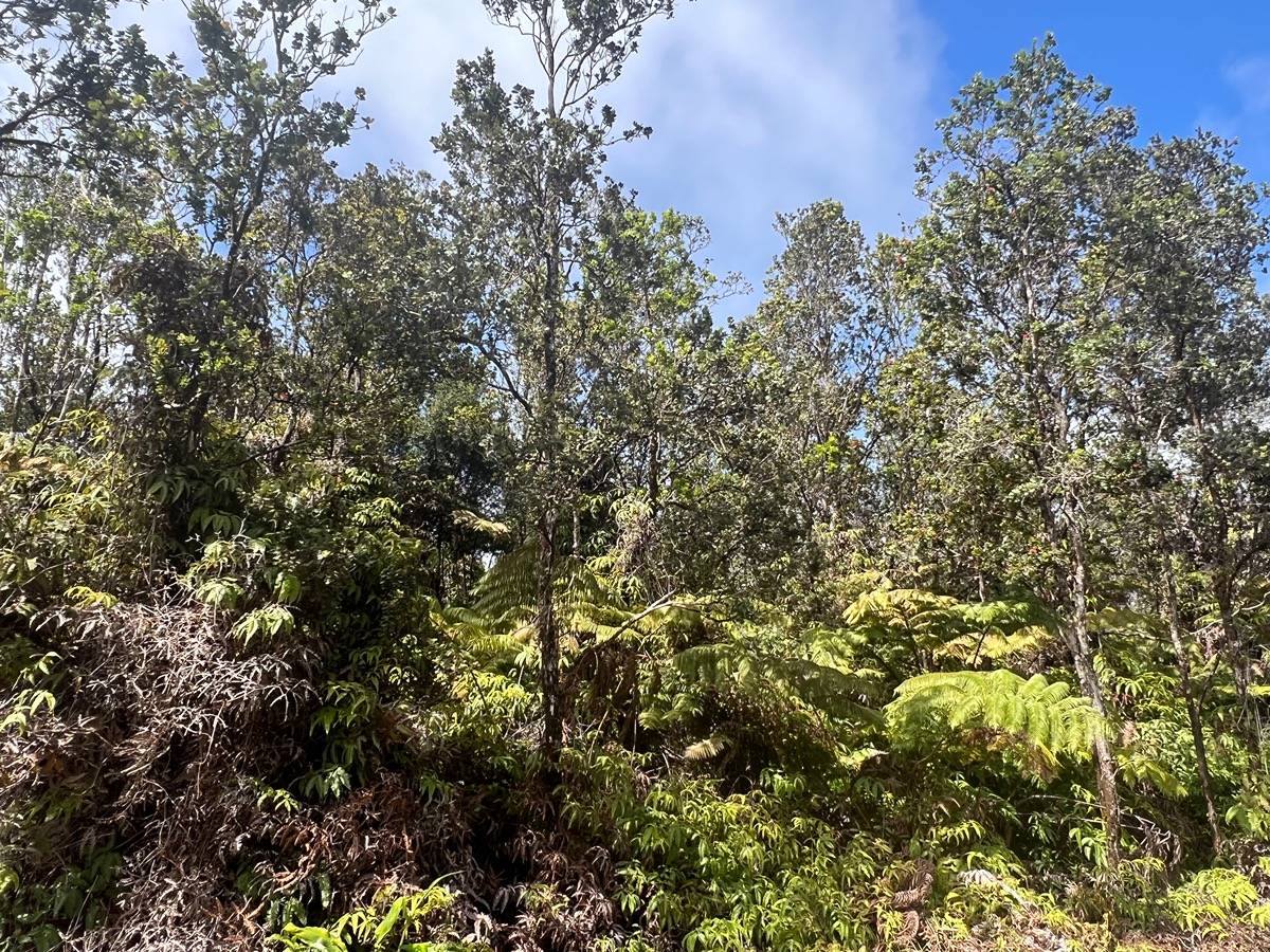 Ala Ohia St, Volcano, HI 96785