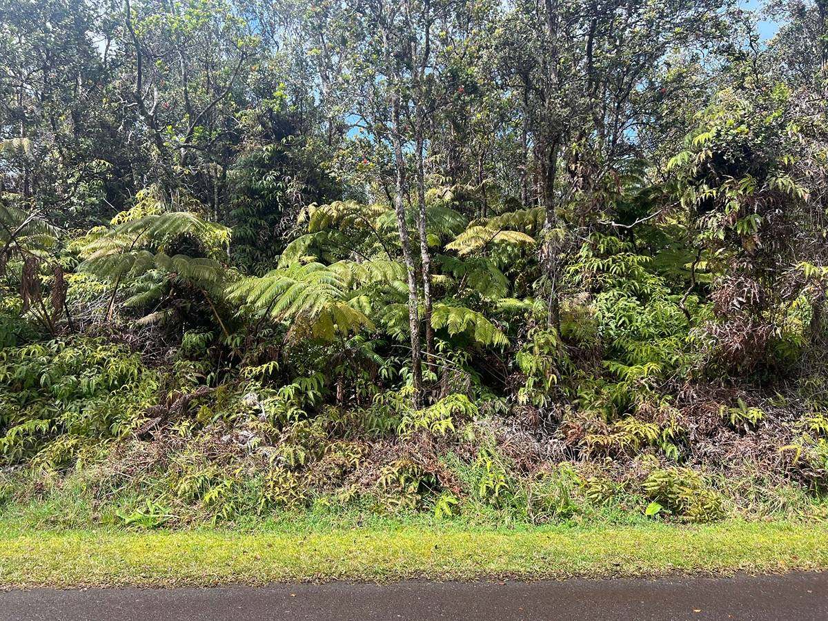 Ala Ohia St, Volcano, HI 96785
