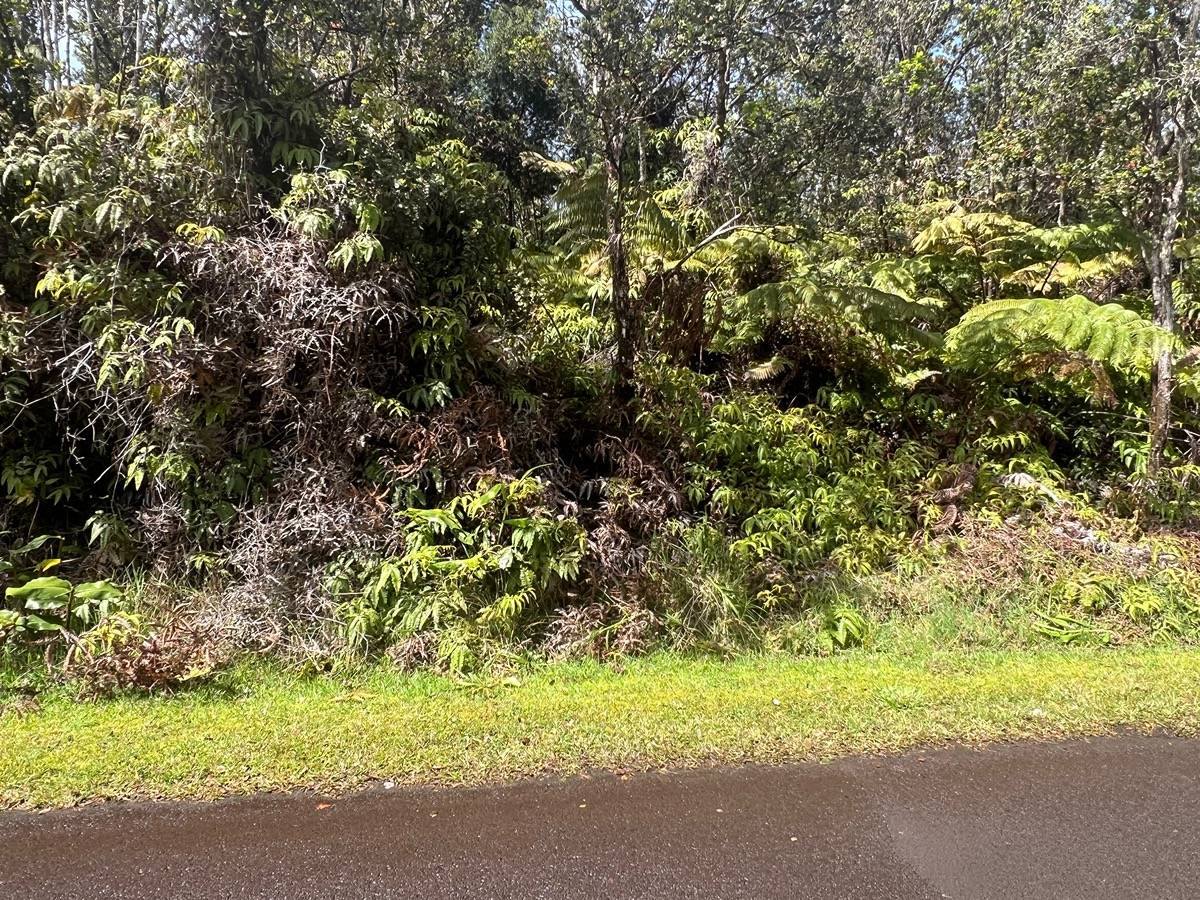 Ala Ohia St, Volcano, HI 96785