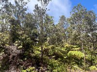 Ala Ohia St, Volcano, HI 96785