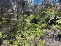 Ala Ohia St, Volcano, HI 96785