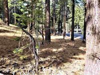 123 Alpine Circle, Mammoth Lakes, CA 93546