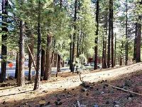 123 Alpine Circle, Mammoth Lakes, CA 93546