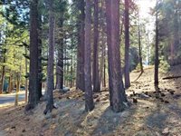 123 Alpine Circle, Mammoth Lakes, CA 93546