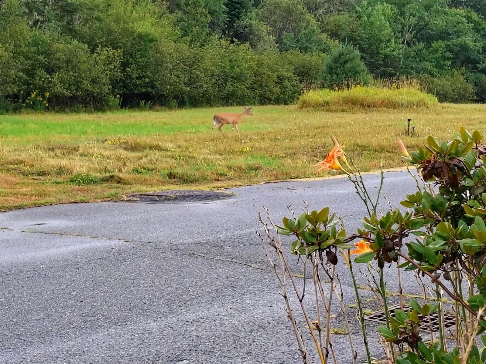 3 Tinker Meadow Way, Ellsworth, ME 04605