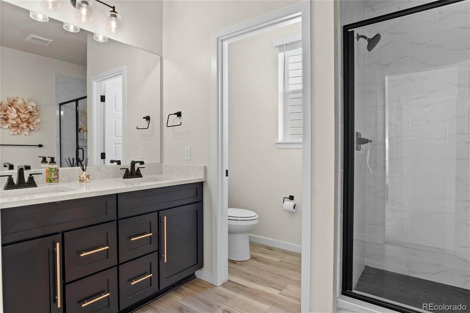 12374 Farmview St, Thornton, CO 80241