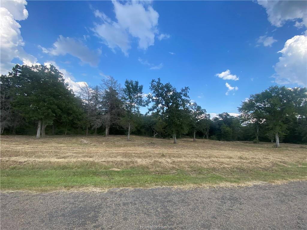 10144 Albert Drive, Iola, TX 77861